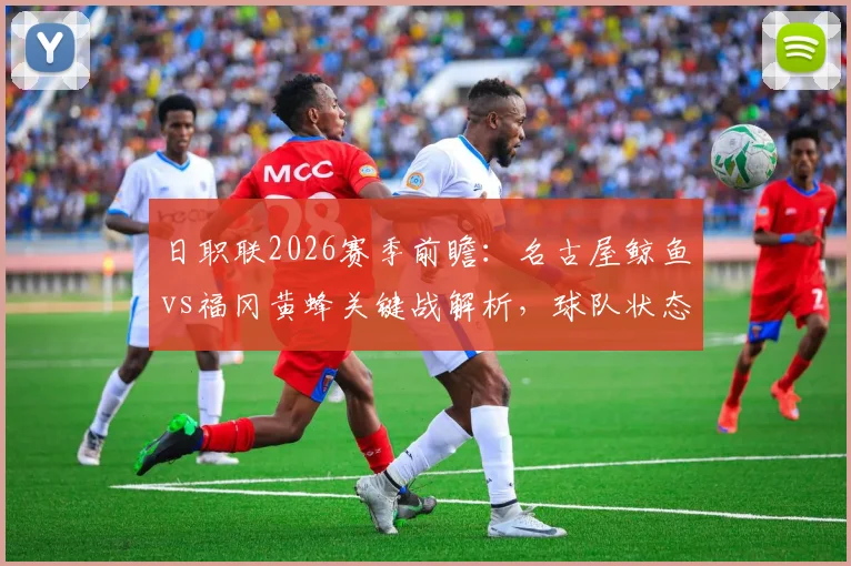 日职联2026赛季前瞻:名古屋鲸鱼vs福冈黄蜂关键战解析,球队状态与战术打法全览