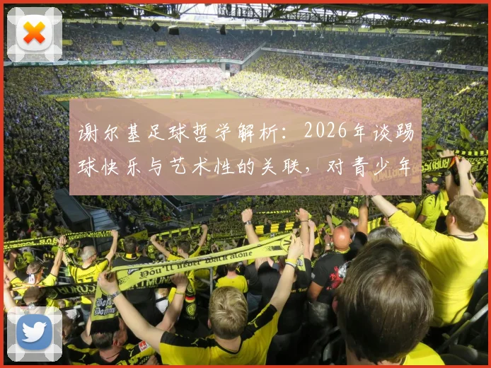 谢尔基足球哲学解析：2026年谈踢球快乐与艺术性的关联，对青少年足球训练的启发